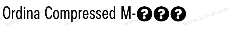 Ordina Compressed M字体转换